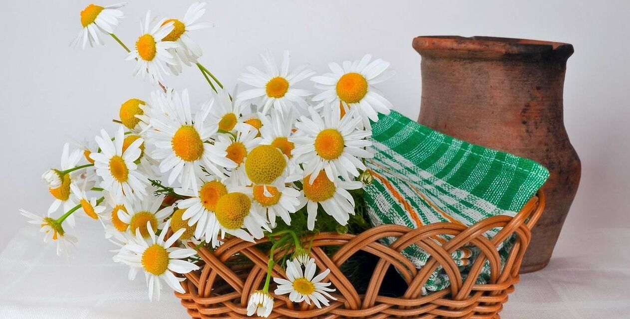 hoe je een gezichtstoner maakt van kamillebloemen